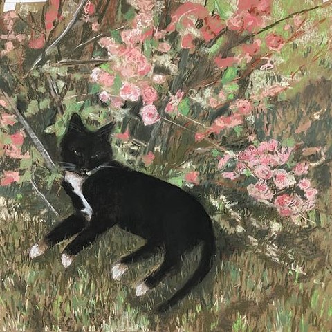 Kitten Under the Pink Flowering Bush