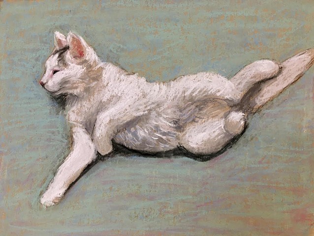 Kitten sketch