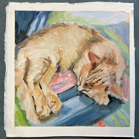 Dawn’s Orange Kitten 