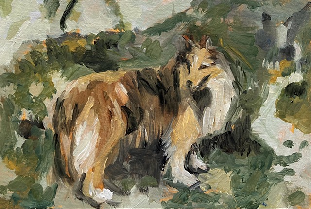 Dog sketch 