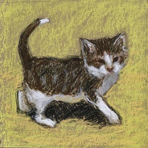 kitten sketch