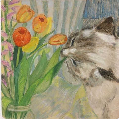 Tulips and Cat