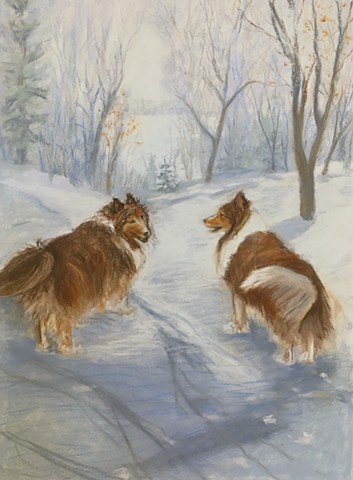 Dogs in the Snow