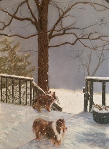 dogs watch snow storm