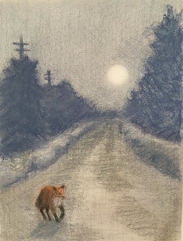 Fox on the Road at Night