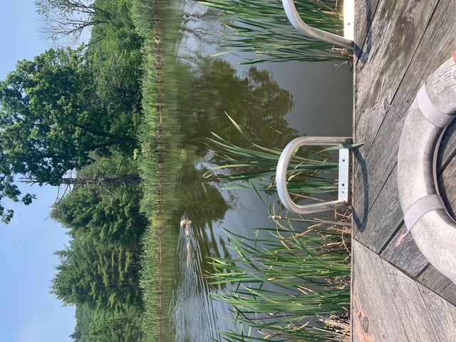 Guggenheim pond