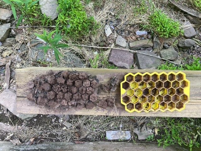 dirt in honeycomb