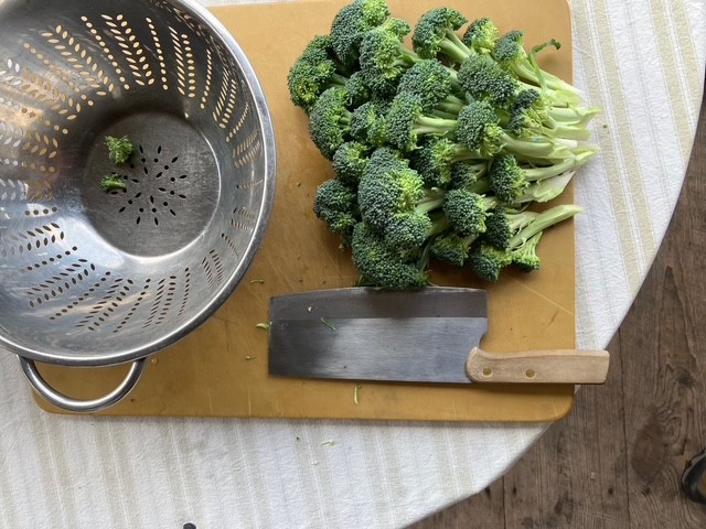 broccoli
