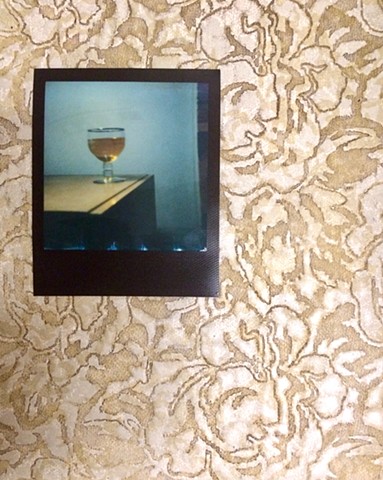 untitled polaroid on vinyl