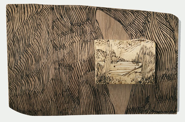 Zoe Cohen artist Burnt Offering Deer Hill Bog abstract landscape art pyrography wood panel drawing