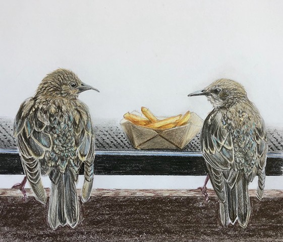 Color pencil drawing of food, birds