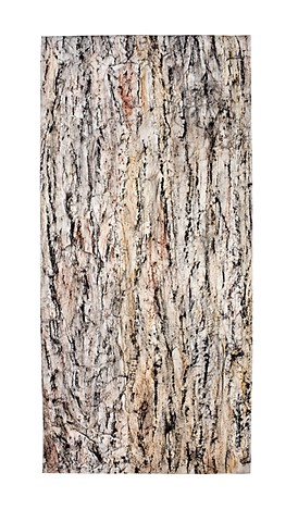 Cypress Bark Rubbing #8 
