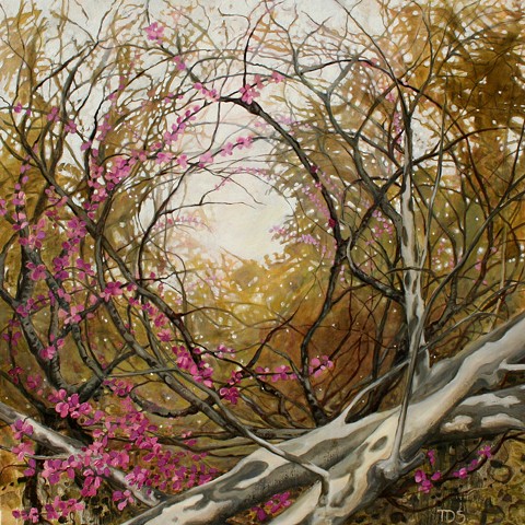 Sycamore Spring, sold