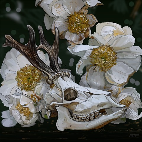 Deer Skull With Peonies 11x11