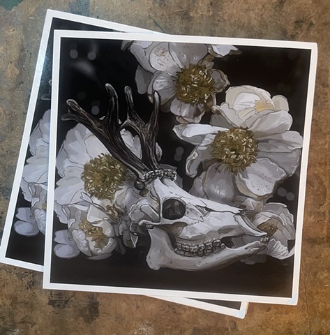 DEER SKULL POSTCARD
