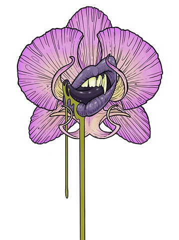 Vamp Orchid