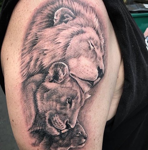 Christian DiMenna, Tattoo artist, Best tattoo, black and gray tattoo, Lion tattoo, Lion pride, Ct tattooer