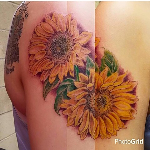 Sunflowers