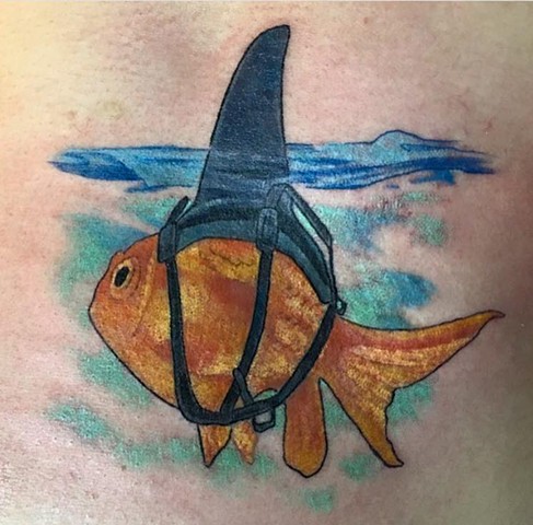 Goldfish Sharkfin