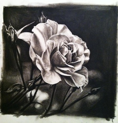 Charcoal drawing, Floral drawing, Lovecraft Tattoo, Ct Tattoo, Best Tattoo, Rose