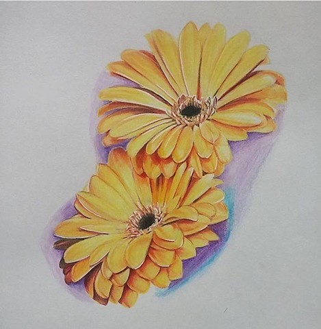 Lovecraft Tattoo, Charlotte Epright, Gerbera Daisy, Sketch, Floral Drawing