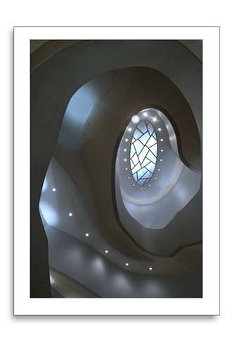 Nautilus