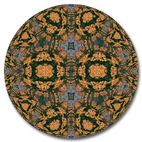 Limits in Bloom II