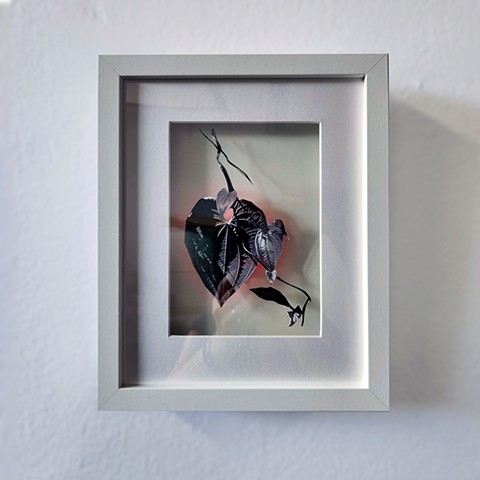 Small As the Glow Grows -12 (5x7)