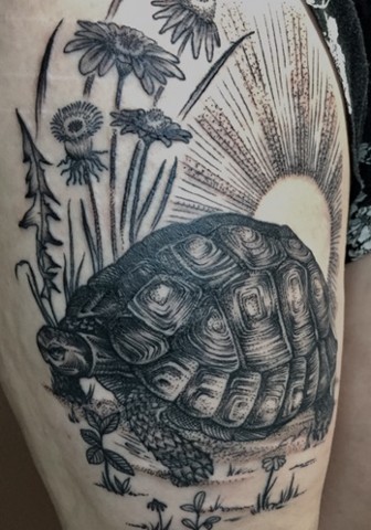 Tortoise tattoo New Haven ct