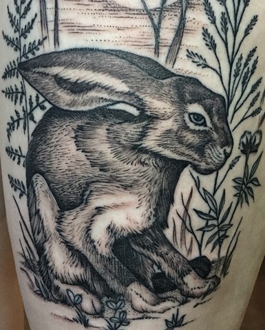 Hare tattoo New Haven ct 