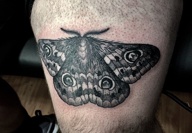 Moth tattoo New Haven ct