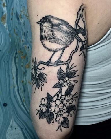 Bird tattoo New Haven ct