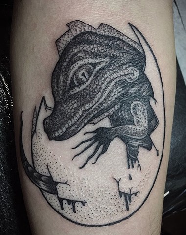 Alligator tattoo New Haven ct