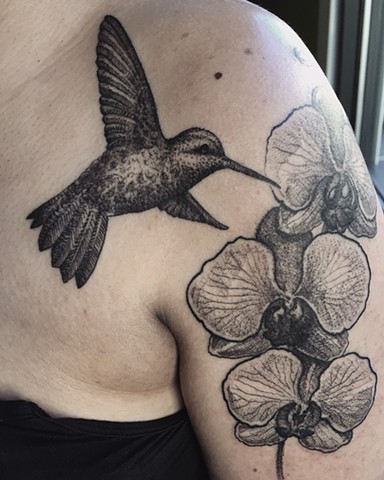 Hummingbird orchids tattoo New Haven ct