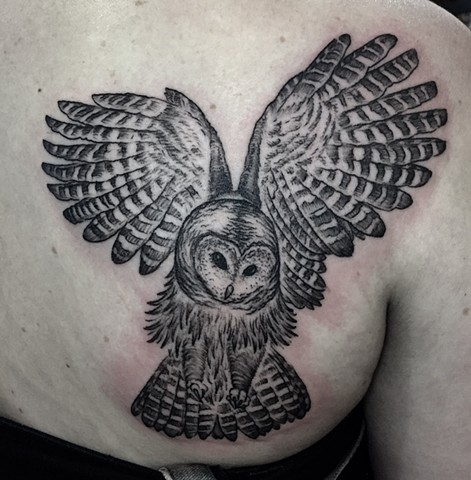 Owl tattoo New Haven ct 