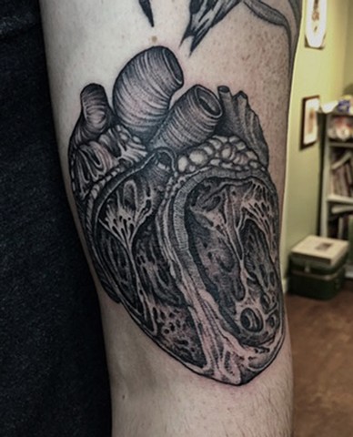 Anatomical heart tattoo New Haven ct