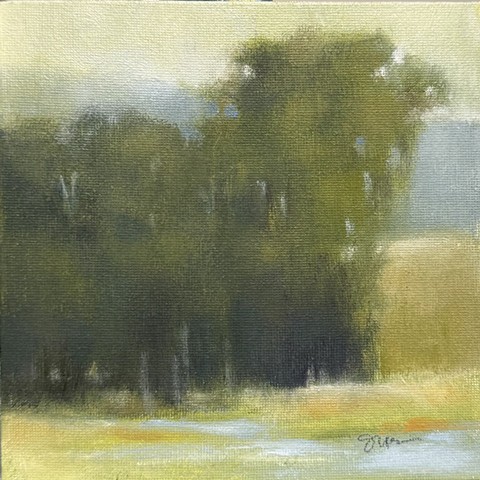 Summer Cottonwood