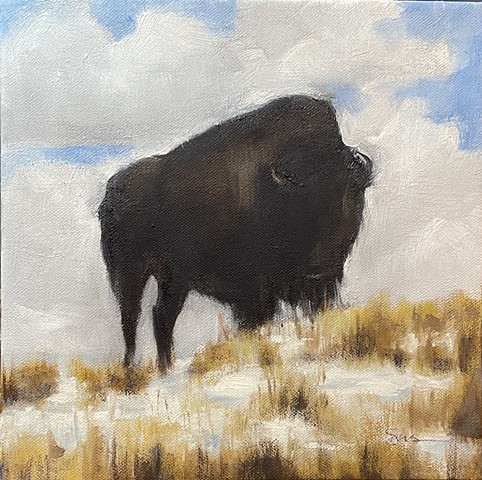 Lone Bison