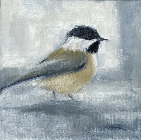 Chickadee in Winter Light