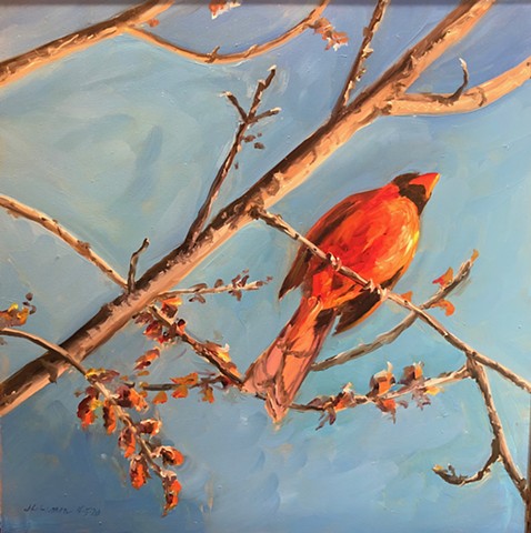 Cardinal, Spring, Painting Birds