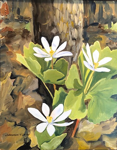 Bloodroot painting, Spring plants