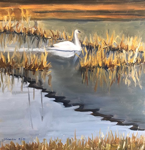 Trumpeter Swan Pond Painting