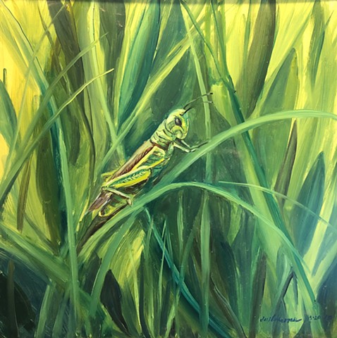 Grasshopper  insect painting
