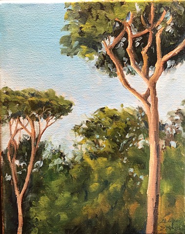 Maritime Pines, Pini Maritimi, Via Cristoforo Colombo, Rome, Painting