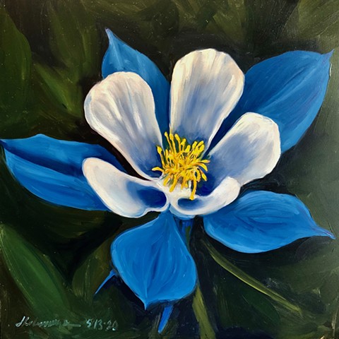 Spring flowers, spring plants, painting, Blue Columbine