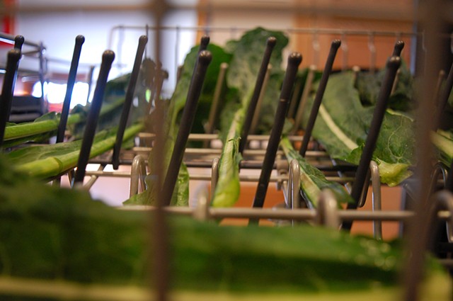 Dishwasher:Kale between the tines