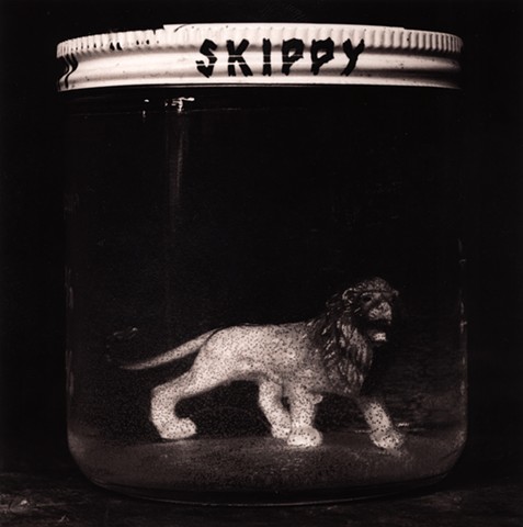 The Skippy Jar/lion
