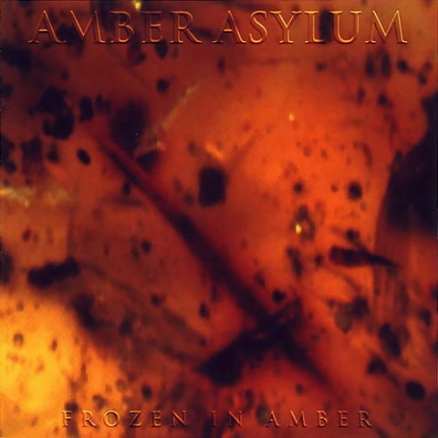 AmberAsylum - Frozen in Amber, Elfenblut