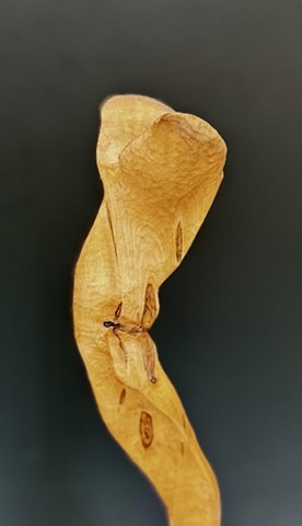 Bean Stalk (detail)