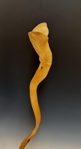 Bean Stalk (detail)